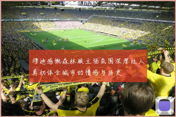 穆迪感慨森林狼主场氛围深厚让人真切体会城市的情感与历史